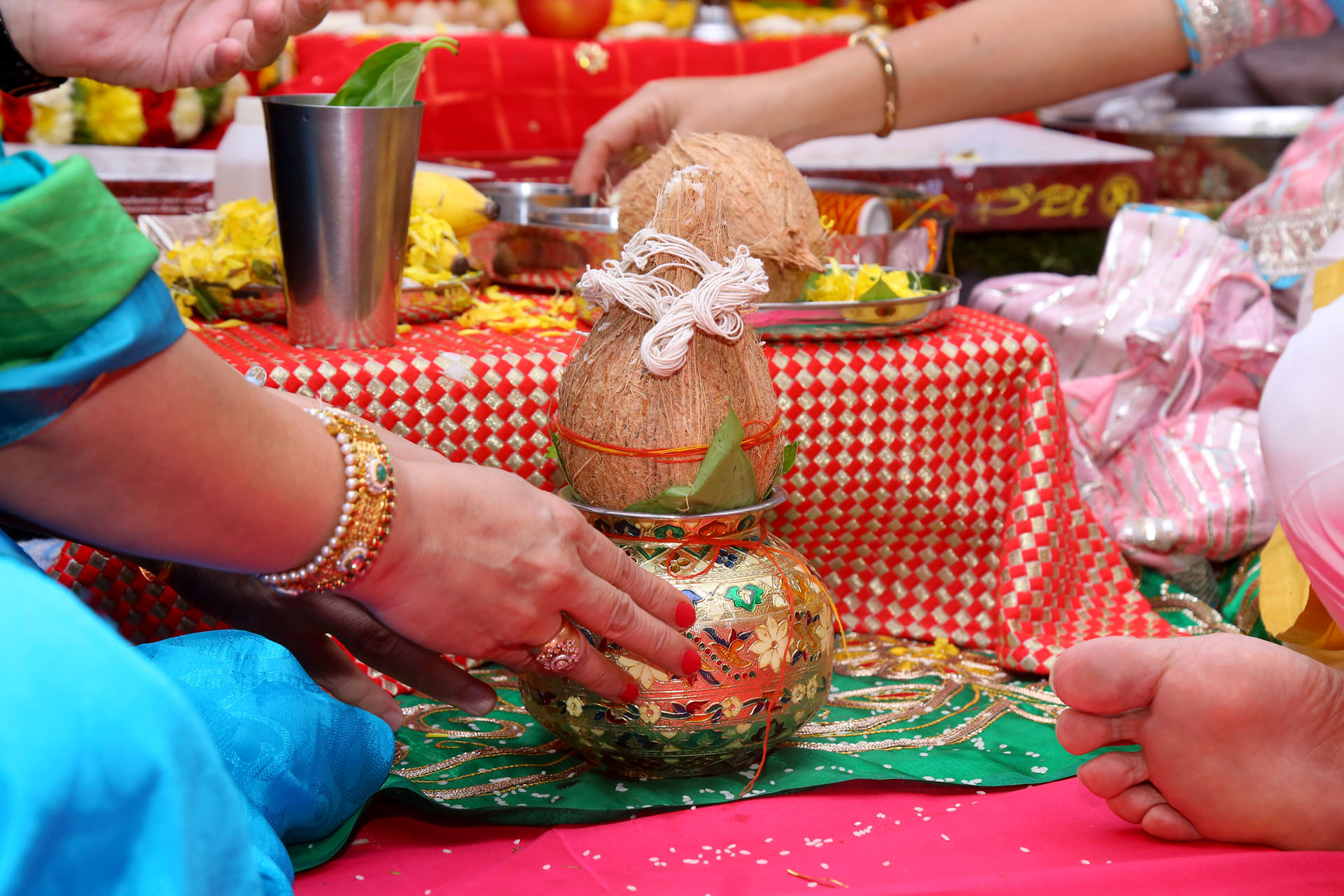 Punjabi Sabha Member